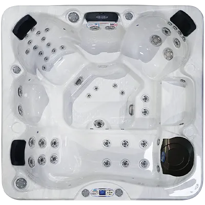 Avalon EC-849L hot tubs for sale in Inglewood