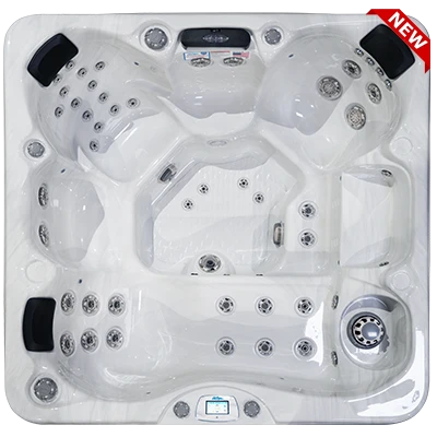 Avalon-X EC-849LX hot tubs for sale in Inglewood