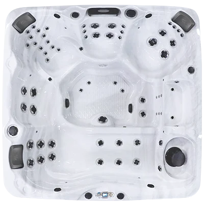 Avalon EC-867L hot tubs for sale in Inglewood